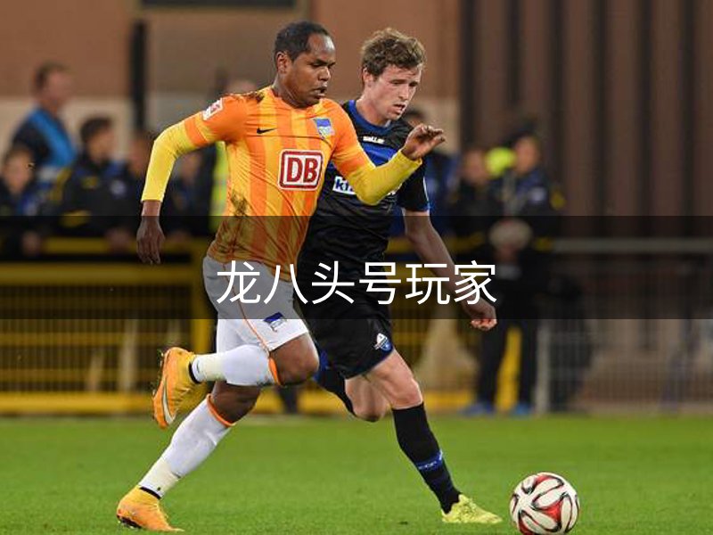 网站概况
